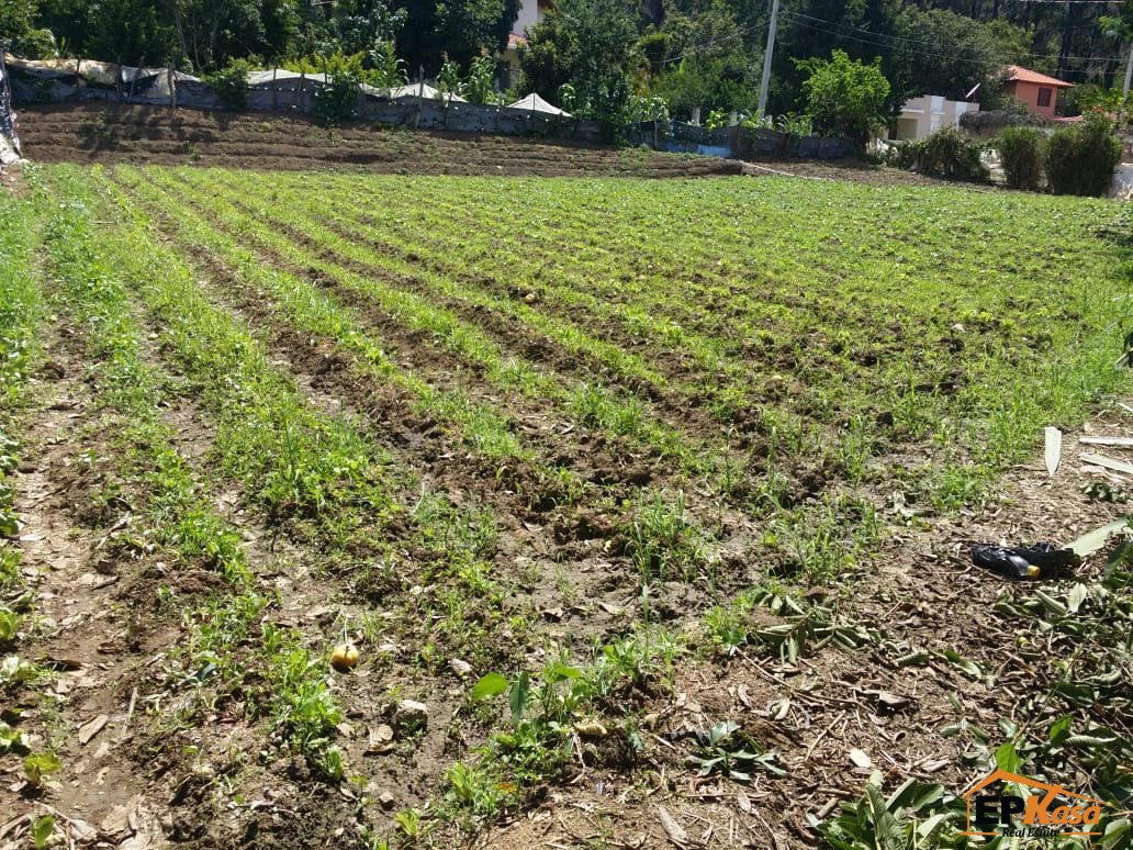 Solar en Venta de 702.60 metros en Constanza - 2