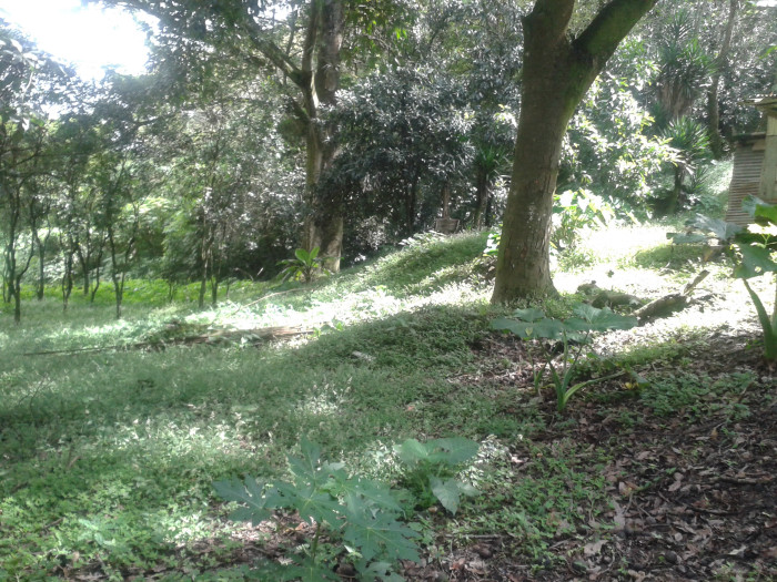 En venta terreno en zona 15 Colonia Trinidad - Miniatura 14