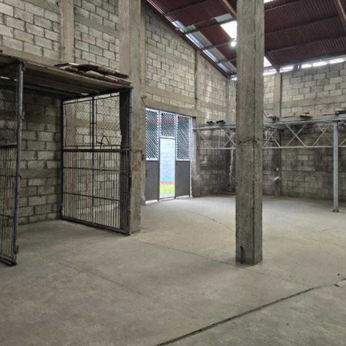 Terreno y Bodega en Renta Bulevar El Caminero Z.6 Mixco - Miniatura 6