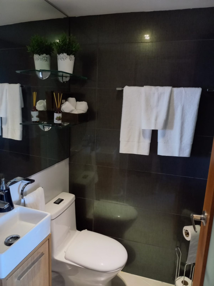 Lujoso apartamento en renta amueblado en Piantini - 21