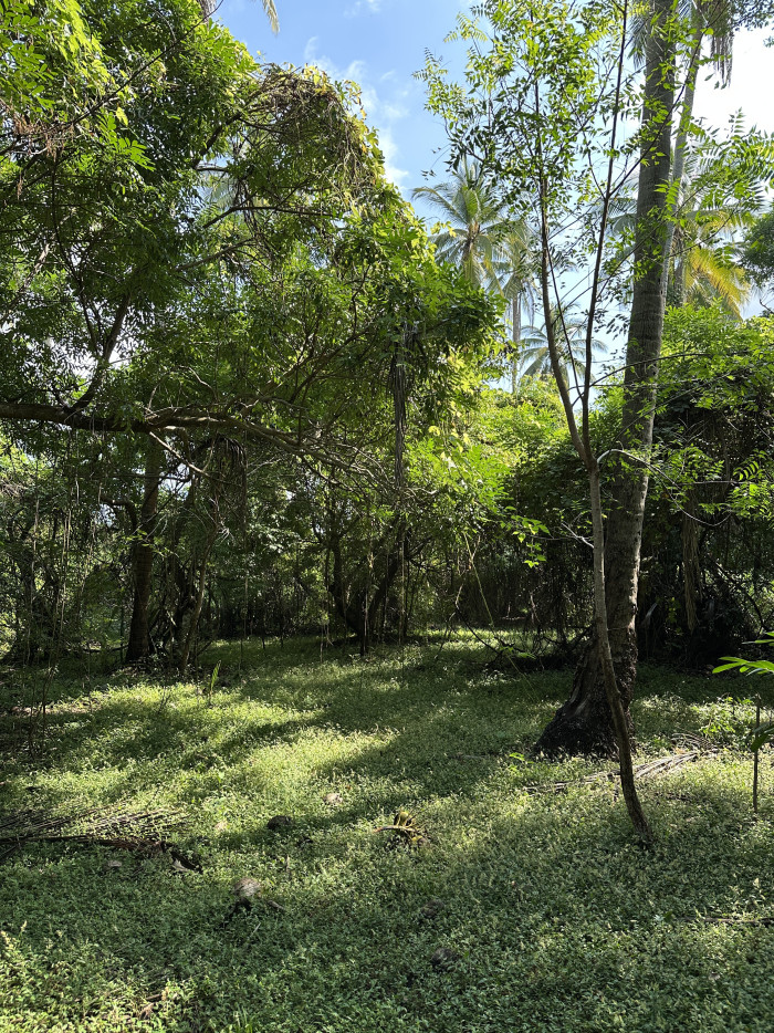 Terreno de 5 manzanas en Isla Madresal en Jiquilisco - 8