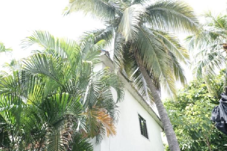 CASA EN RENTA EN IZTAPA, ESCUINTLA - 7