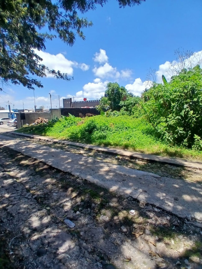 TERRENO EN ALQUILER EN CAES KM 19.5 - Image 3