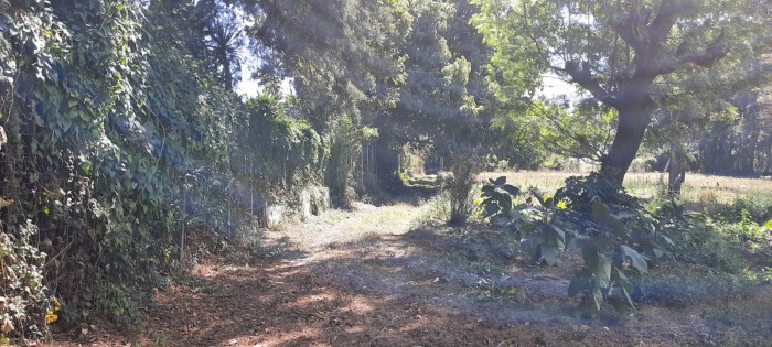 KM 24 CARRETERA AL SALVADOR — foto 10