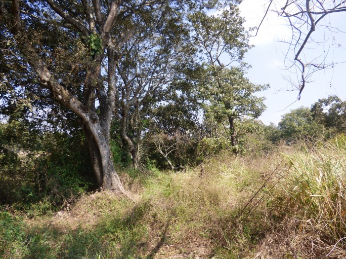 EL CHATO - 4