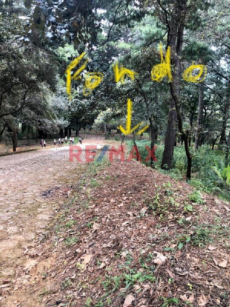 Vendo Terreno en Choacorral San Lucas Sacatepéquez — foto 6