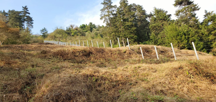 Terreno en venta en carretera a San José Pinula CAES — foto 4