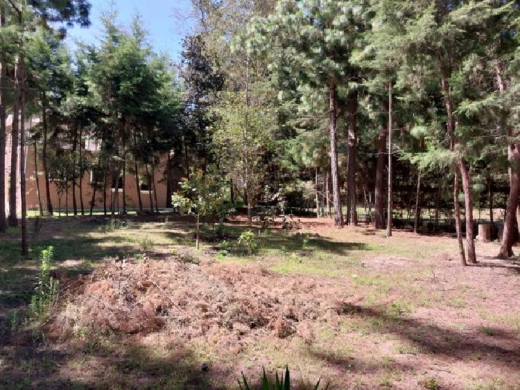 TERRENO EN VENTA SANTA MARIA CAUQUE/ LOS MANZANALES - 9