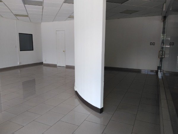 LOCAL EN RENTA ZONA 10 — foto 4