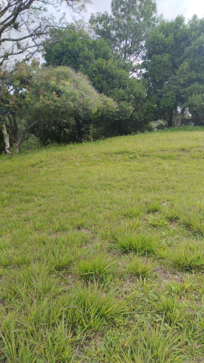 Terreno en venta Bosques de Vilaverde km 26.5 CES — foto 4