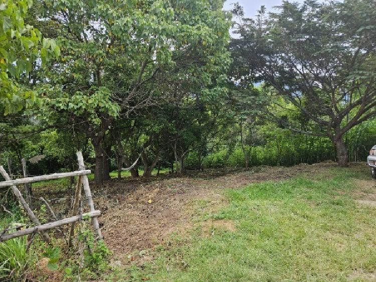 TERRENO EN VENTA MILPAS ALTAS/MUNDO INMOBILIARIO - 5