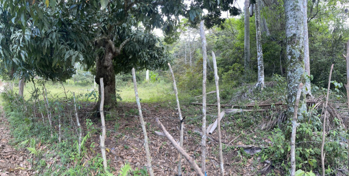 Terreno en Jarabacoa zona Hato Viejo - 6