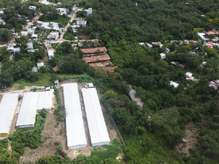 Granja en Venta | Palencia | KM 23.5 - 6