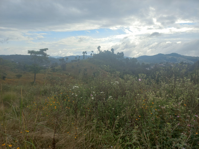Terreno Comercial área San Pedro Ayampuc
