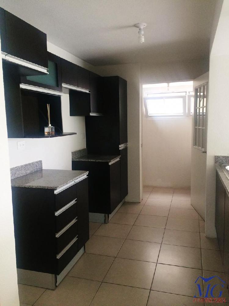 ALQUILO APARTAMENTO EN PARQUE 7 — foto 3