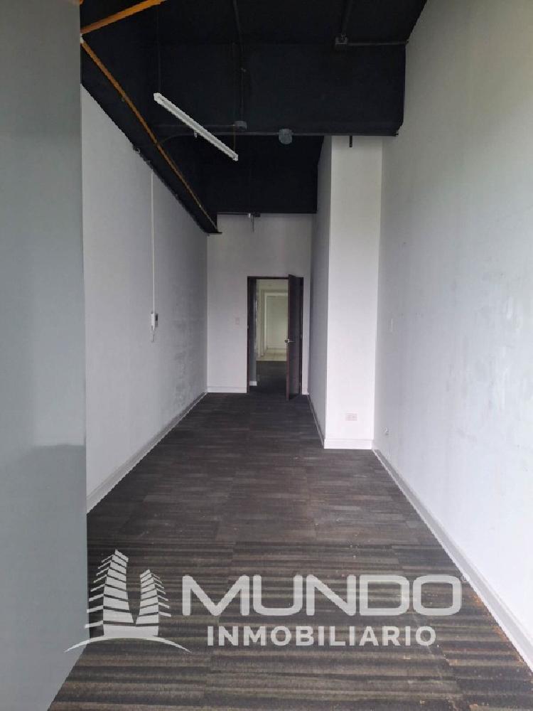 OFICINA EN RENTA EN ZONA 10 DESIGN CENTER — foto 7