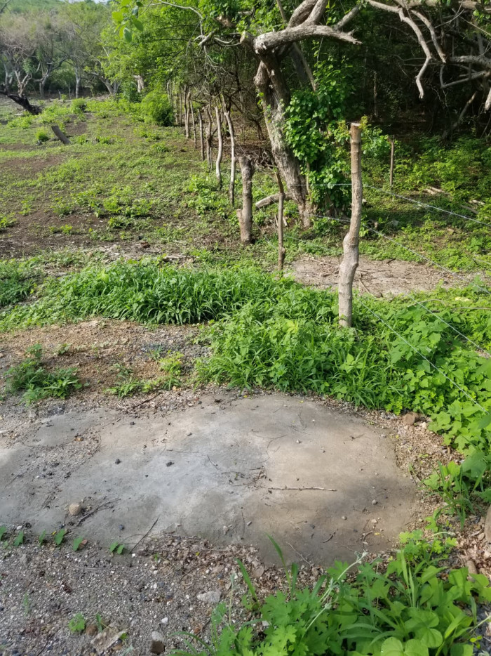 Terreno comercial frente Residencial San Blas Surf City - 5