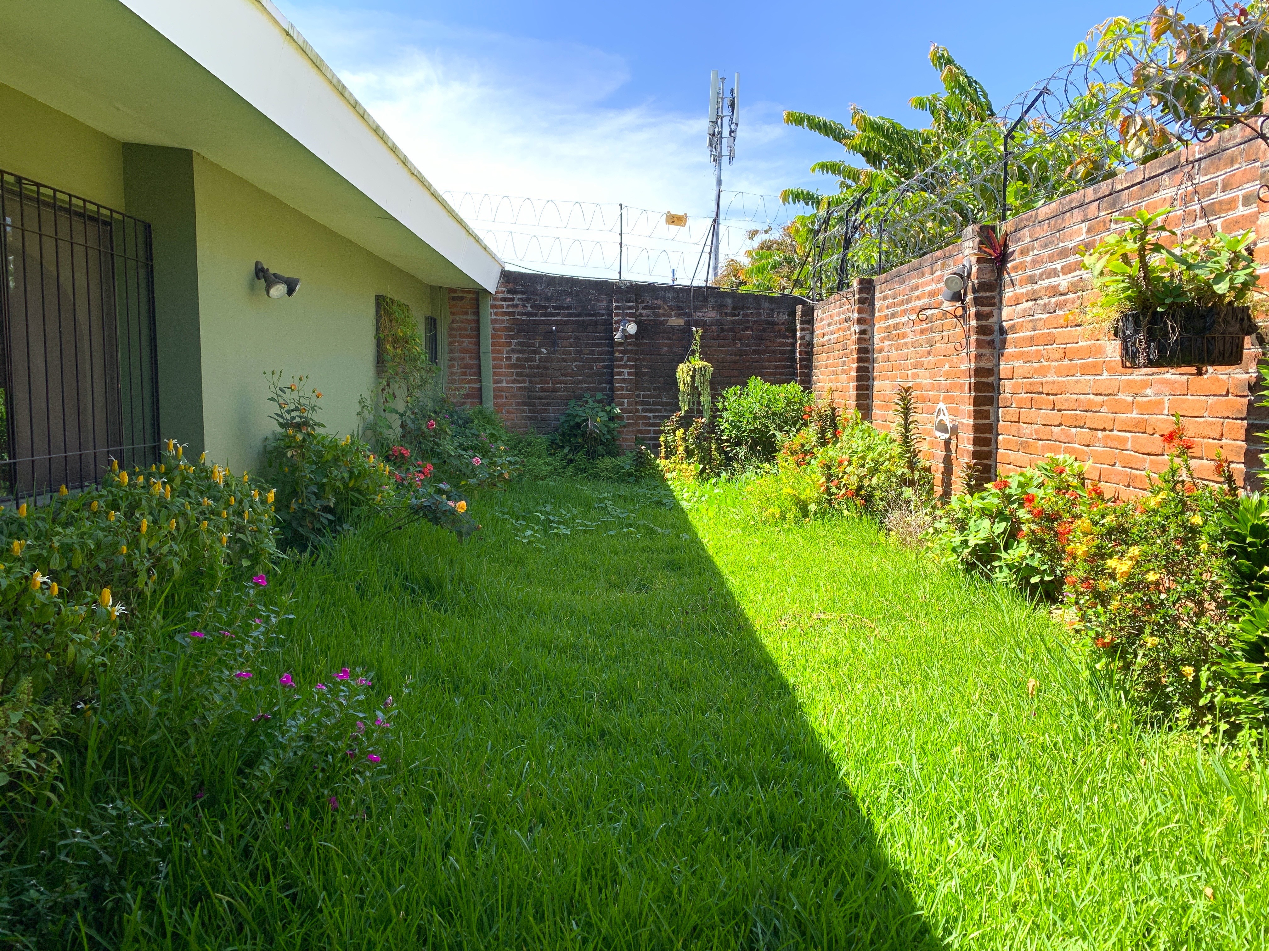 San Benito, casa de un nivel, venta o alquiler. — foto 6