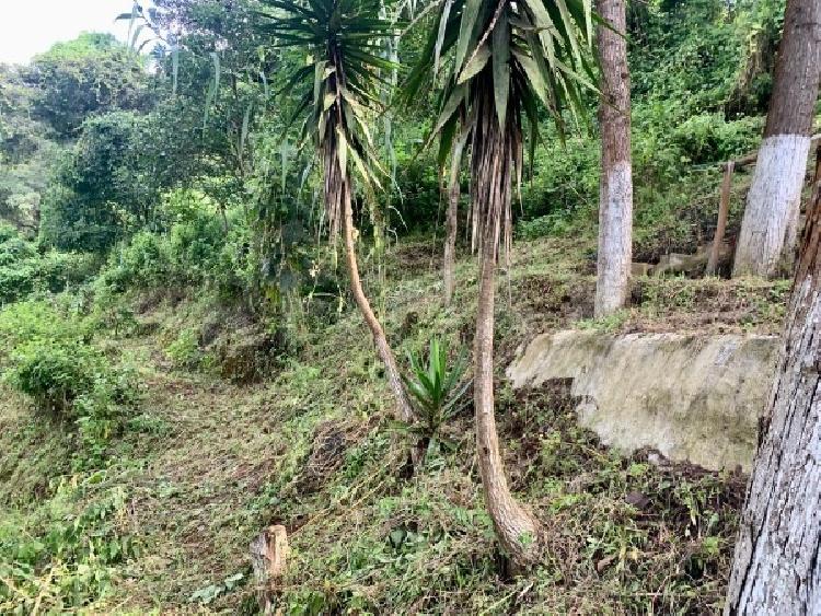 Terreno en Venta en El Hato — foto 2