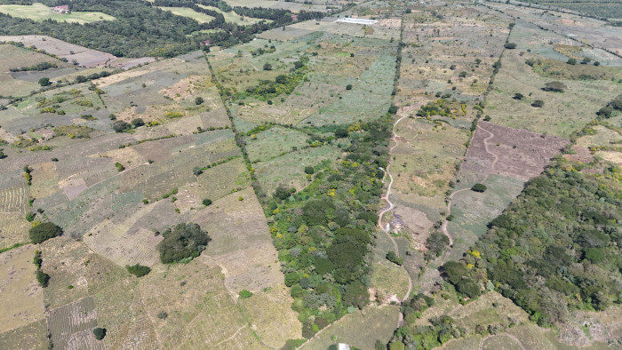 Finca de piña en el Jocotillo, Villa Canales - Image 1
