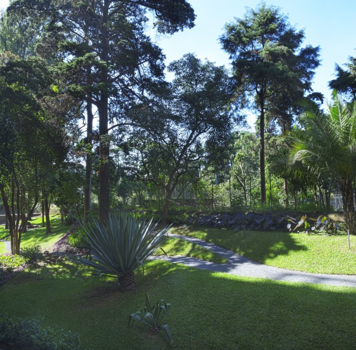 Apartamento en renta con jardín en la zona 10 - Miniatura 11