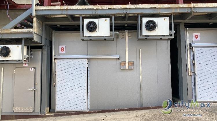 RENTA DE CUARTO FRIO PARA REFRIGERACIÓN INDUSTRIAL - Miniatura 4