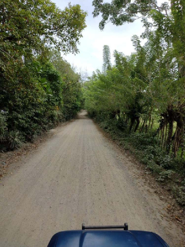 Vendo Finca de 120mnz en Puerto Barrios, Izabal Ref-229 - 13