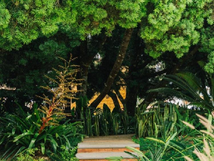CASA EN VENTA EN ANTIGUA GUATEMALA — foto 11