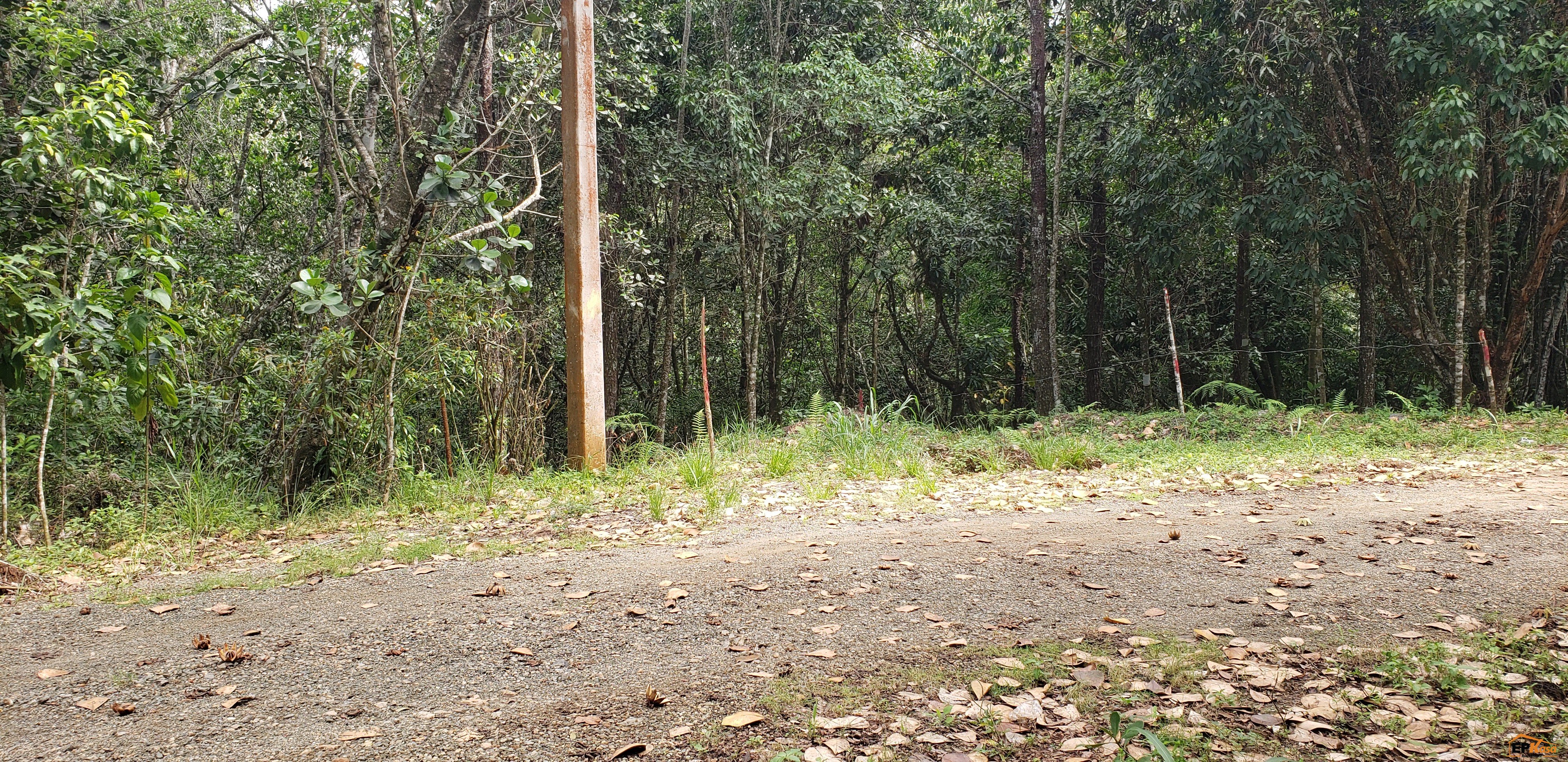 Solar de venta en Jarabacoa — foto 5