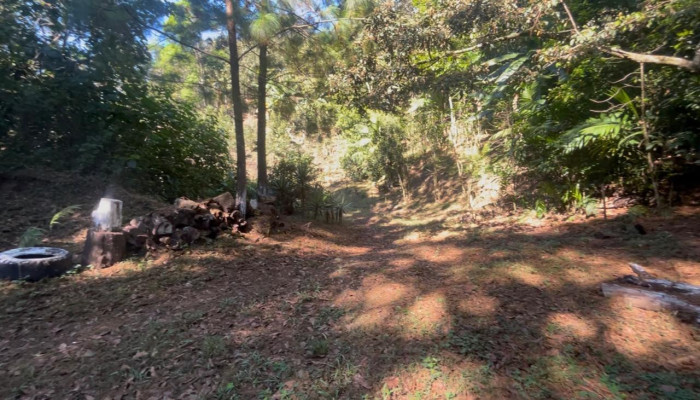 Finca en Venta en Fraijanes, Guatemala | Km 16-30 - Miniatura 8