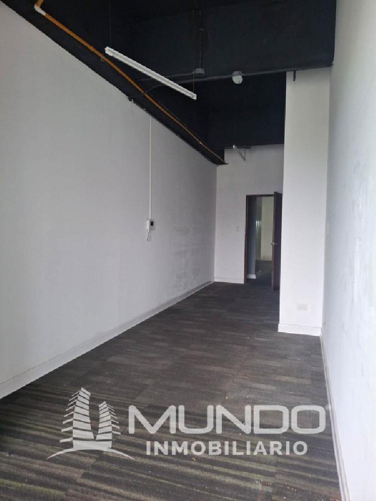 OFICINA EN RENTA EN ZONA 10 DESIGN CENTER — foto 4
