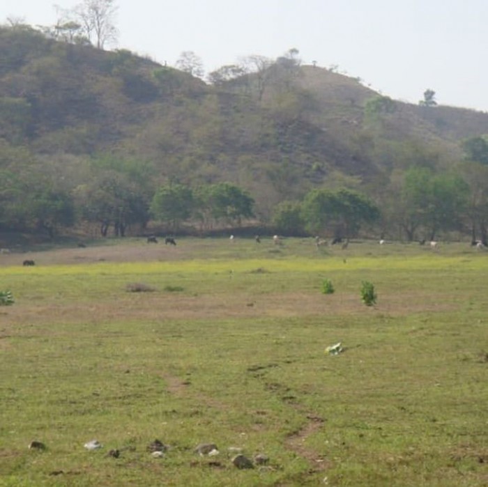 Terreno Barrio La Cienaga, Municipio Gualan, Zacapa - Miniatura 8