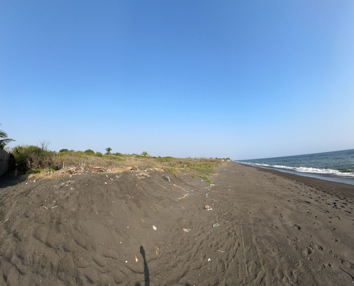 TERRENO GRANDE EN VENTA EN IZTAPA PARA DESARROLLO - 5