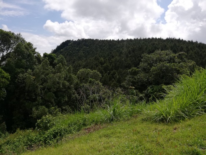 VENDO TERRENO EN TERRAVISTA KM 16.5 ENTRADA A OLMECA — foto 2