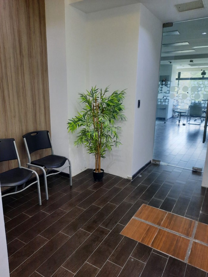 Oficina Centro Corporativo Muxbal - Image 2