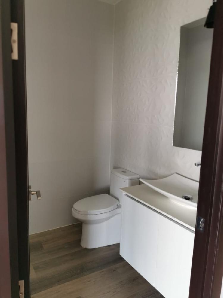 APARTAMENTO EN RENTA EN ZONA 14/MUNDO INMOBILIARIO — foto 4
