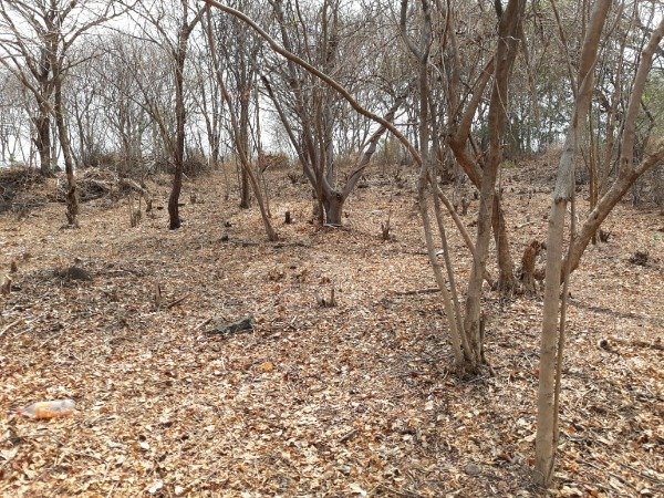 Cerromar, La Libertad, lote en venta. — foto 3
