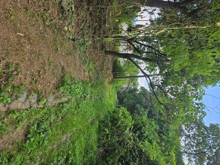 TERRENO EN VENTA MILPAS ALTAS/MUNDO INMOBILIARIO - 9