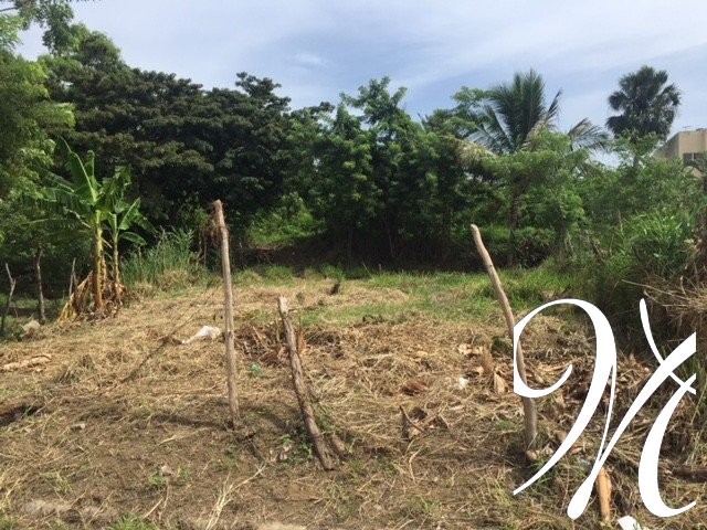 VENTA DE TERRENO EN GURABO — foto 2