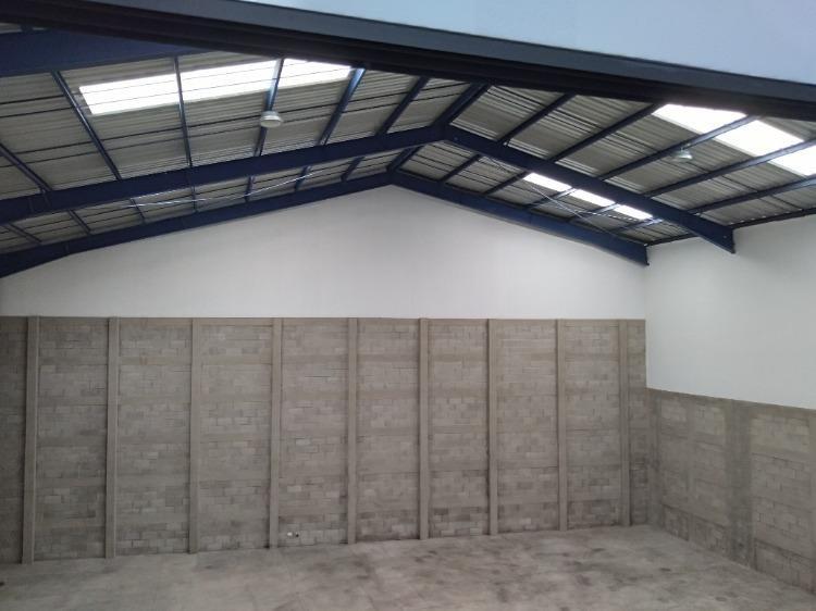 Ofi bodegas en Renta y Venta en el Naranjo - Image 2