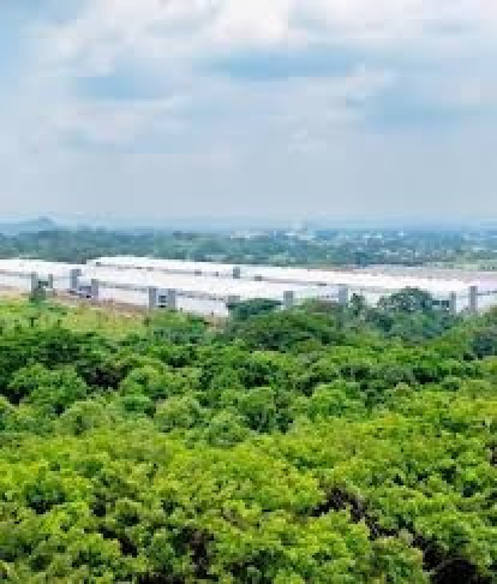 Nave Industrial en Renta en Escuintla KM 53 - Miniatura 6