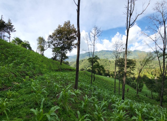 Finca en venta en San Jose Pinula camino a Monte Cristo — foto 4