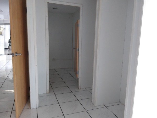 Local en renta Zona 10 — foto 4