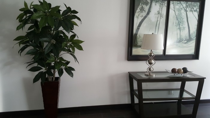 Apartamento amueblado en renta en zona 14 Guatemala - Miniatura 12