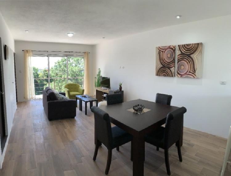 APARTAMENTO AMUEBLADO EN RENTA EN ZONA 16 — foto 3