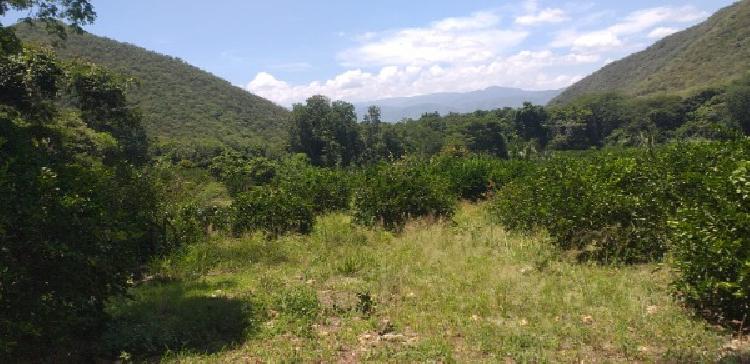 FINCA EN VENTA EN EL PROGRESO - 2