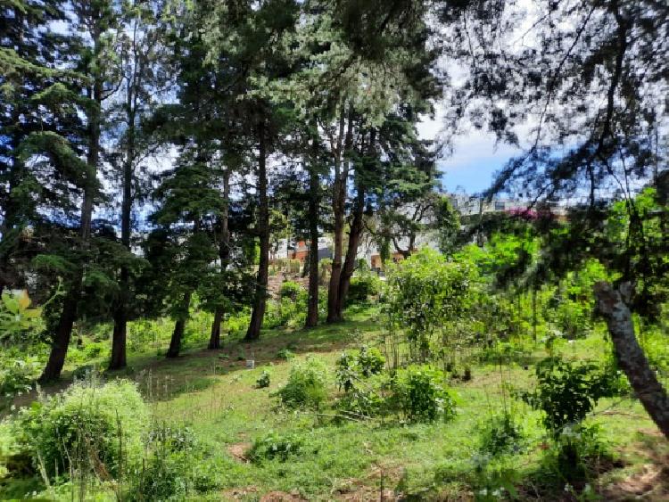 TERRENO EN VENTA EN KM 21.5 CARRETERA A FRAIJANES — foto 8
