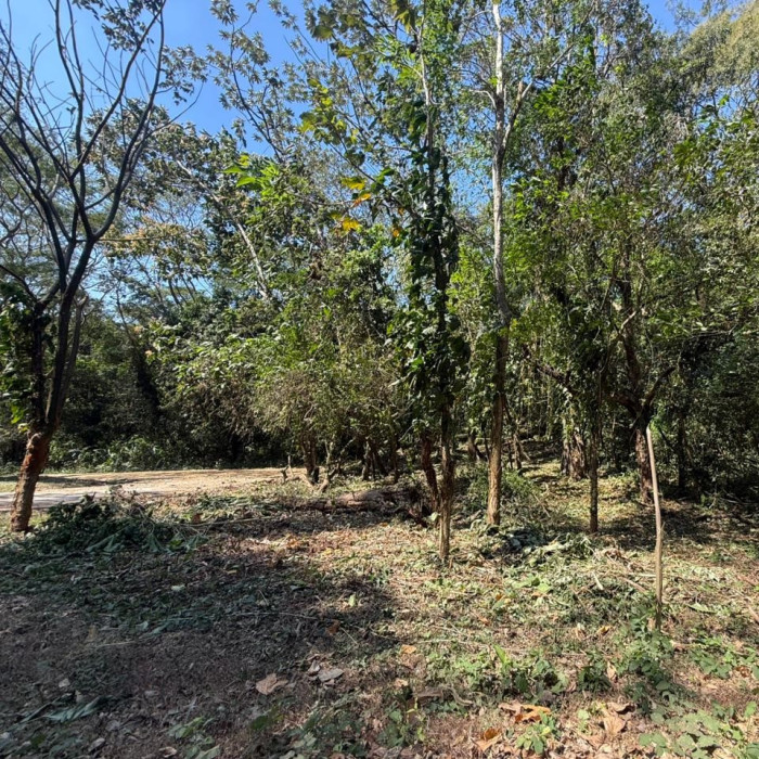 Lote en Venta RioSul, Escuintla, Guatemala - Image 4