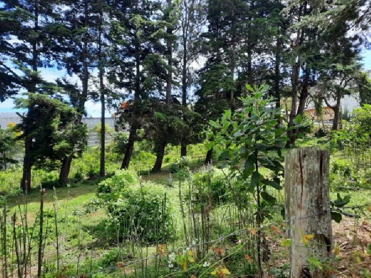TERRENO EN VENTA EN KM 21.5 CARRETERA A FRAIJANES — foto 9