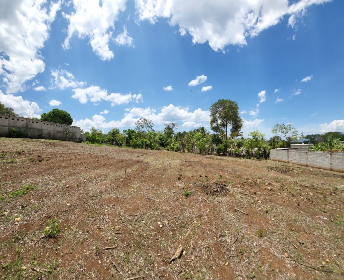 Terreno en venta en Barberena km 60 cerca de carretera - 7